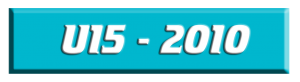 2010