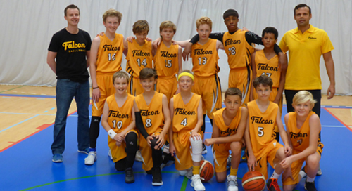 falcon basket